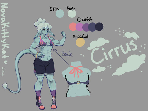 Cirrus full body